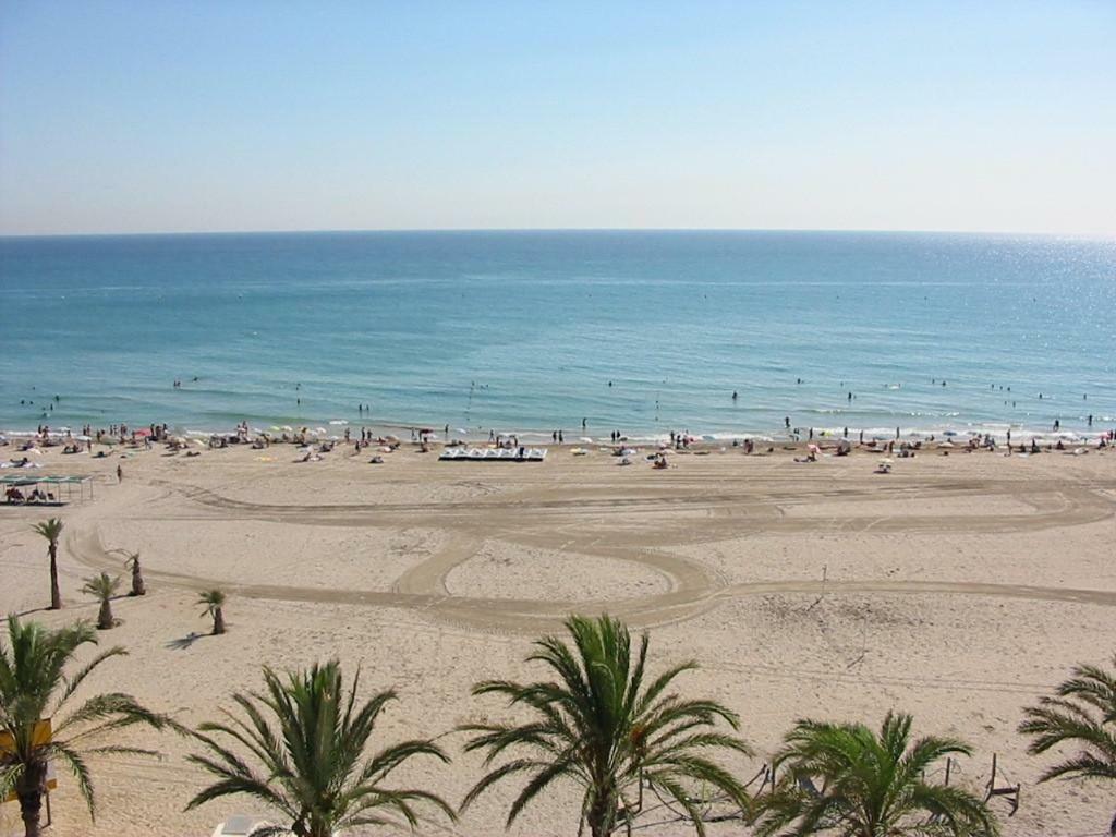 Apartamento 1a línea Playa San Juan. Vistas. Piscina. BBQ. Gym El Campello Exterior foto